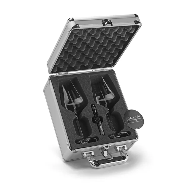 gabriel-glas-travel-case-standart-hybrid-aluminiumkoffer-mit-2-standart-gl-sern- image 1